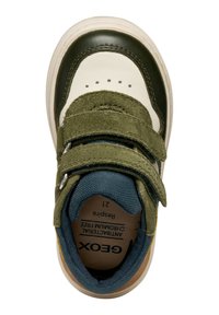 Scarpa bassa verde e beige con strisce in suede, fodera navy texturizzata e suola imbottita; include dettagli di cucitura e marchio all'interno.