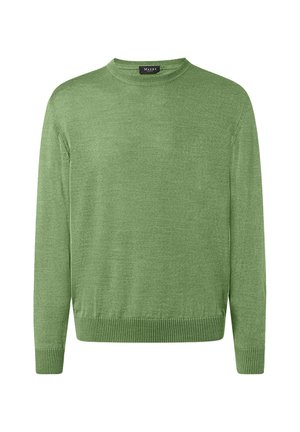 Grüner Langarm-Rundhalspullover mit gerippten Bündchen an Ärmeln und Saum, aus feinem Strickgewebe, Vorderansicht.