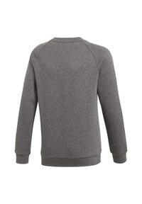 Felpa grigia con collo a giro, maniche lunghe a raglan e orlo e polsini a coste; realizzata in un tessuto morbido e testurizzato.