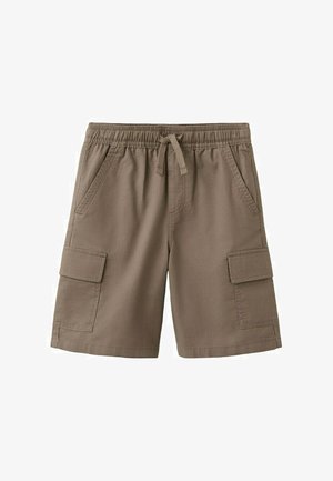 Shorts cargo marron pour hommes avec taille élastique, cordon de serrage à l'avant, poches latérales et poches cargo à rabat sur chaque jambe, présentés sur fond blanc.