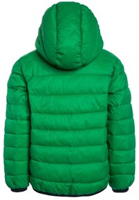 Giacca a vento verde brillante con cappuccio, trapuntatura orizzontale e polsini elasticizzati, mostrata da dietro su uno sfondo bianco.