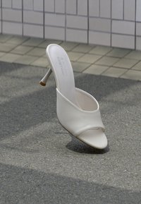 Nem kiválasztott, ice