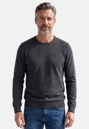 Mann mit grauem Haar und Bart, der einen dunkelgrauen, strukturierten Pullover und blaue Jeans trägt, vor einem schlichten hellen Hintergrund stehend.