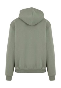Light green sweatshirt with a hood, relaxed fit, ribbed cuffs, and hem. Smooth texture with minimal seams, featuring a plain back design.