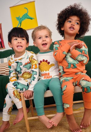 Next, REGULAR FIT - SNUGGLE 3 PACK SET - Pigiama - multi dino