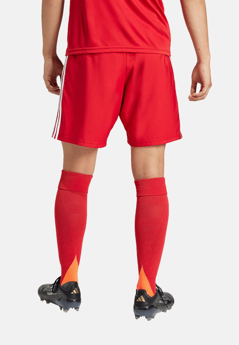 adidas Performance TASTIGO 25 - Korte broeken - rot