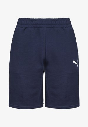 Puma TEAMGOAL 23 CASUALS TRAININGSSHORT HERREN - Kurze Sporthose - peacoat