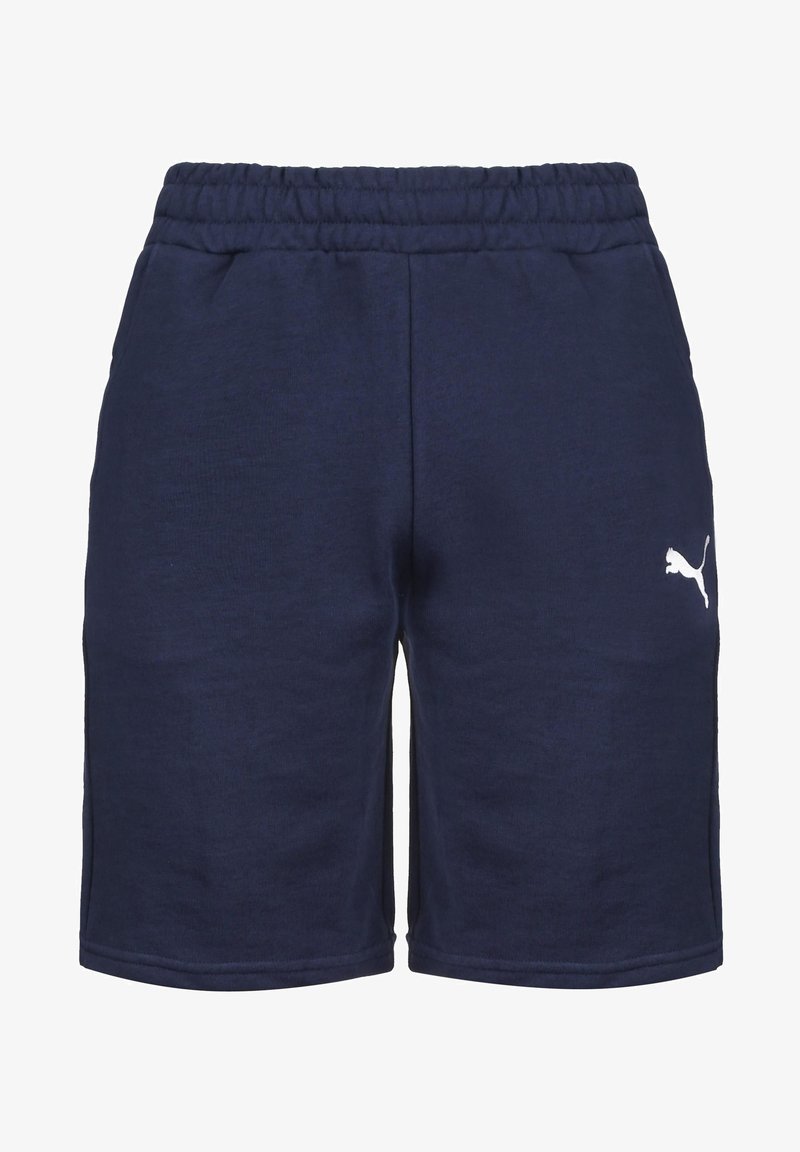 Puma TEAMGOAL 23 CASUALS TRAININGSSHORT HERREN - Short de sport - peacoat