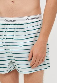 Boksarji Calvin Klein z elastičnim pasom. Svetlo modra tkanina ima temno zeleno in mornarsko modre vodoravne črte ter majhne logotipske poudarke.