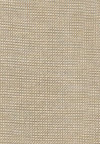 Beżowy materiał o subtelnej tkanej teksturze, z wzorem w formie siatki. Powierzchnia jest jednolicie jasna i lekko szorstka.