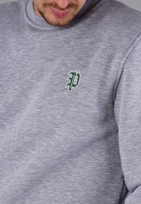 Gray sweatshirt made of soft material with a crew neck. Features an embroidered green letter "P" on the left chest.