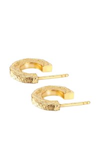 Orecchini a cerchio color oro con una superficie testurizzata e irregolare e un gancio dritto e affusolato per una chiusura sicura. Design circolare e scultoreo.