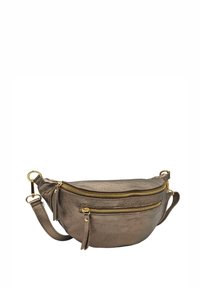 Sac bandoulière en bronze métallique avec deux compartiments zippés, design plat et sangle réglable, doté de quincaillerie dorée et d'accents de pompon.