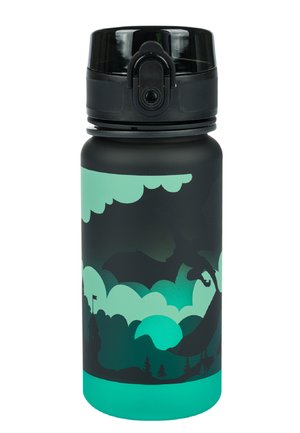 TRITAN - Drink bottle - schwarz