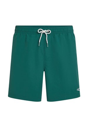 Shorts de bain couleur sarcelle en tissu léger avec une ceinture élastique, un cordon blanc et un logo sur le côté inférieur gauche.