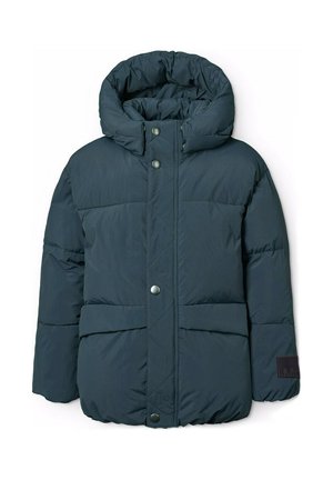 HAYDEN - Zimní bunda - night navy