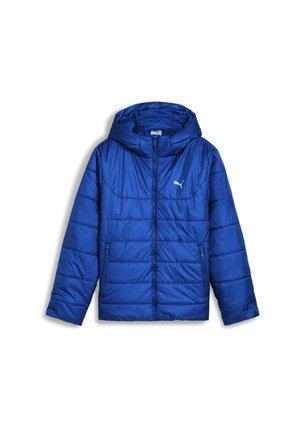 HOODED PADDED - Vinterjacka - mountain blue