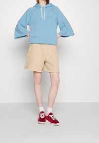 Polo Ralph Lauren Hoodie - blue