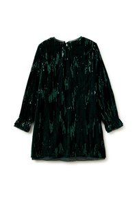 Zelené sametové šaty s dlouhými rukávy, s texturovaným povrchem a vertikálními vzory z flitrů. Mají kulatý výstřih a zapínání na zádech.