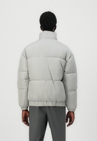 Only & Sons ONSALPHA PUFFER JACKET - Zimná bunda - mirage gray