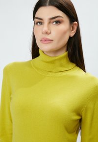 INFLUENCER HIGH-NECK BASIC - Strickpullover - acid
