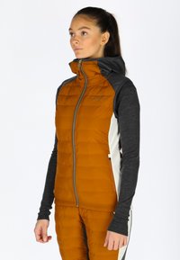 Gilet isolato arancione con texture trapuntata, cappuccio nero e maniche lunghe grigie. Presenta una zip frontale e tasche laterali.