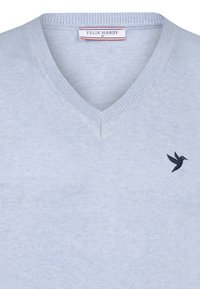 Jasnoniebieski sweter w serek z miękkiego materiału, z małym haftowanym ciemnoniebieskim logo kolibra po lewej stronie klatki piersiowej.