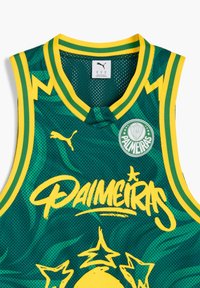 Vihreä verkkomateriaalista valmistettu koripallopaita, jossa on keltaisia yksityiskohtia, pyöreä kaula-aukko, prominentti "Palmeiras" -grafiikka ja logo-patch.
