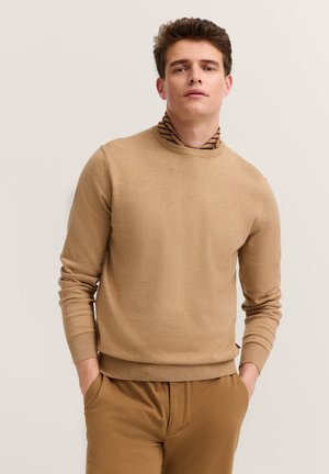 Beige Pullover mit hohem Kragen und langen Ärmeln, über einem braunen und cremefarbenen gestreiften Rollkragenpullover getragen. Glatte Textur, lässige Passform.