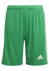 SQUADRA 21 - Pantaloncini sportivi - green