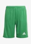 SQUADRA 21 - Pantaloncini sportivi - green