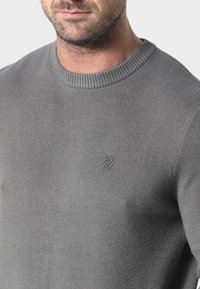 Grauer Strickpullover mit Rundhalsausschnitt und geripptem Saum. Verfügt über ein dezentes gesticktes Logo auf der Brust, das eine glatte Textur zeigt.