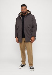 Jack & Jones JJLOOP - Vinterfrakke - mulch