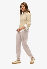 Superdry & Co VINTAGE WASHED GRAPHIC JOGGER - Trainingsbroek - cloud grey