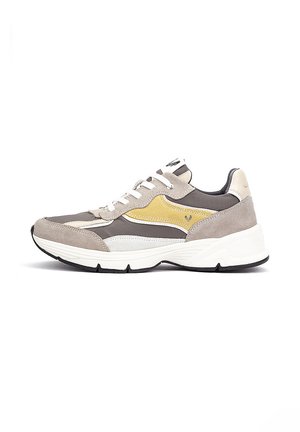 NORWICH - Zapatillas - grey/yellow