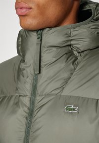 Chaqueta de plumón en verde oliva con cuello alto, cierre de cremallera y un pequeño logo de cocodrilo bordado en el pecho. Tejido texturizado.