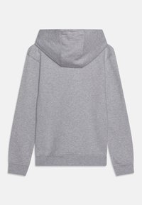 Szary hoodie o miękkiej fakturze, z regulowanym kapturem na sznurku, długimi rękawami oraz ściągaczem w dolnej części i przy mankietach. Widok z tyłu pokazuje prosty design.