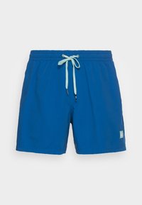 Quiksilver - EVERYDAY VOLLEY 15 - Plavky - snorkel blue Miniatura obrázku 1