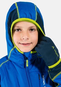 Veste bleue isolée avec une doublure verte, col haut et fermeture éclair sur le devant. Le mannequin porte des gants noirs avec des accents réfléchissants jaunes.