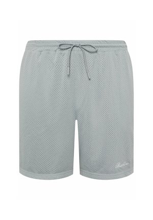 Lysegrå, mesh atletikshorts med elastisk talje, snøre og lille kursivlogo på venstre underben.
