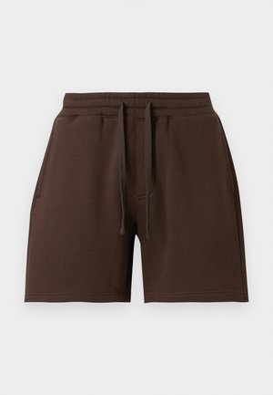 Hollister Co., BAGGY ABOVE THE KNEE GRAPHIC UPDATE - Σορτς - dark brown