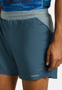 Men's blue shorts made of lightweight material, featuring a contrasting light gray elastic waistband and textured side panels. Logo printed.