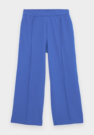 Hlače širokih nogavica izrađene od mekanog, rastezljivog materijala u svijetloplavoj boji. Imaju ravni pojas i dva prednja nabora za dodatni dizajnerski detalj.