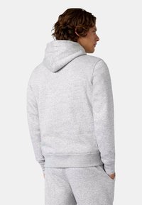 Svetlo šedá mikina vyrobená z mäkkej látky, s klokankovou vreckom, rebrovanými manžetami a kapucňou so šnúrkami, zobrazená zozadu.