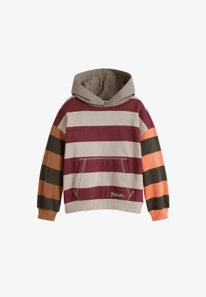 Desigual WITH COMBINED STRIPES - Džemperis su gobtuvu - multi coloured