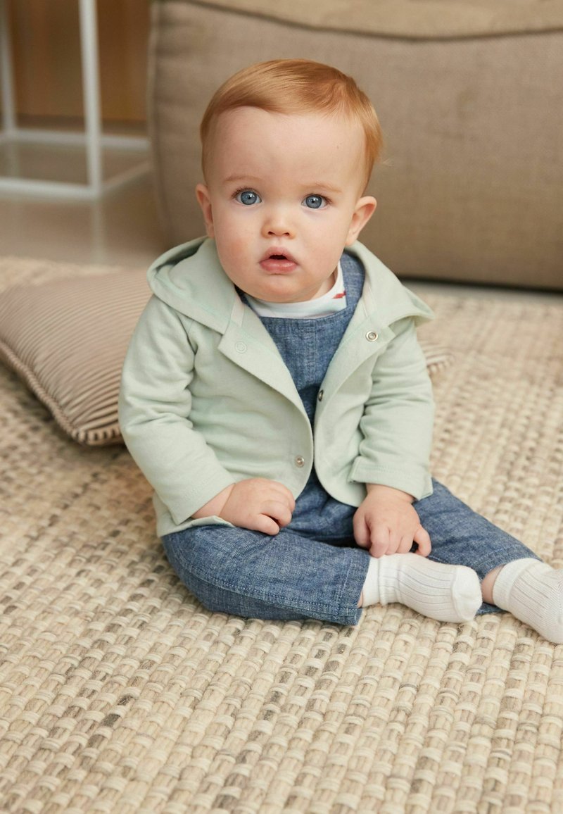 Next LIGHTWEIGHT JERSEY BABY JACKET Felpa con zip green/verde