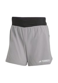Gray shorts made of lightweight fabric, featuring a black elastic waistband and white "TERREX" logo on the left leg.