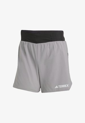 Gray shorts made of lightweight fabric, featuring a black elastic waistband and white "TERREX" logo on the left leg.