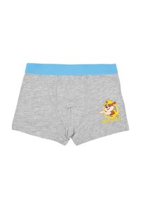 Boxer grigi in cotone con un elastico blu chiaro, caratterizzati da una stampa di personaggi dei cartoni animati sul davanti. Texture morbida, taglio standard.