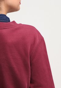 Sudadera burdeos con cuello redondo y costuras visibles. Textura suave, parecida al algodón. Vista trasera que muestra los hombros y la zona del cuello.